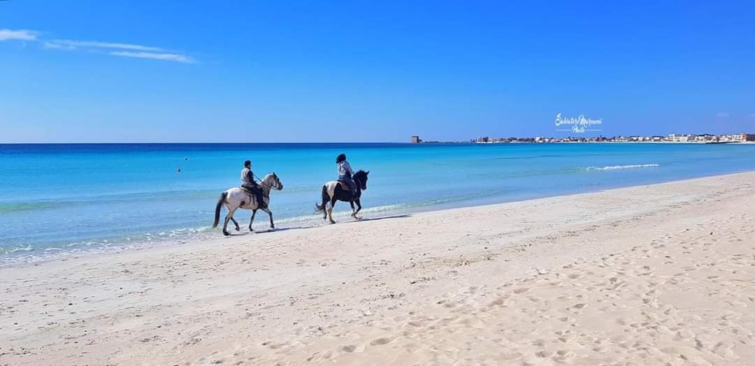 Masseria La Lizza - Ospitalita Rurale เลชเช ภายนอก รูปภาพ