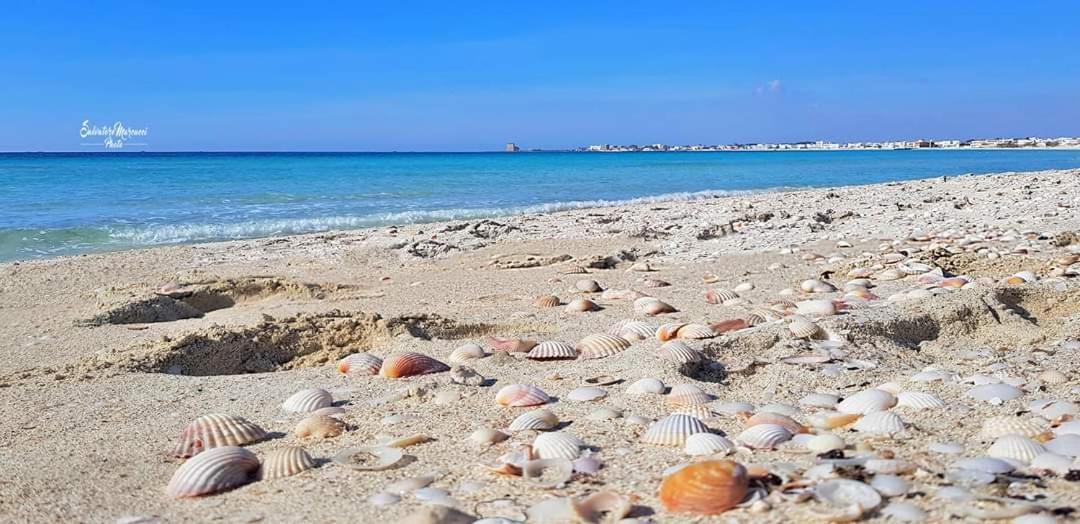 Masseria La Lizza - Ospitalita Rurale เลชเช ภายนอก รูปภาพ