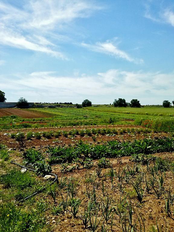 Masseria La Lizza - Ospitalita Rurale เลชเช ภายนอก รูปภาพ